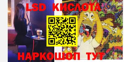 шишки Будённовск