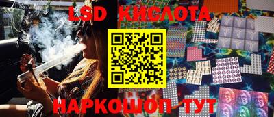 шишки Будённовск
