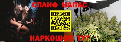 шишки Будённовск