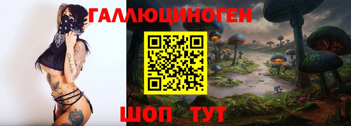Псилоцибиновые грибы Psilocybe  Вход с VPN  Геленджик 