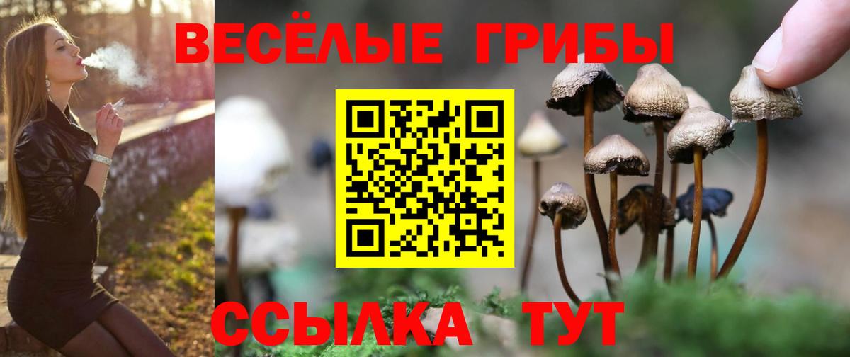 Галлюциногенные грибы MAGIC MUSHROOMS Геленджик